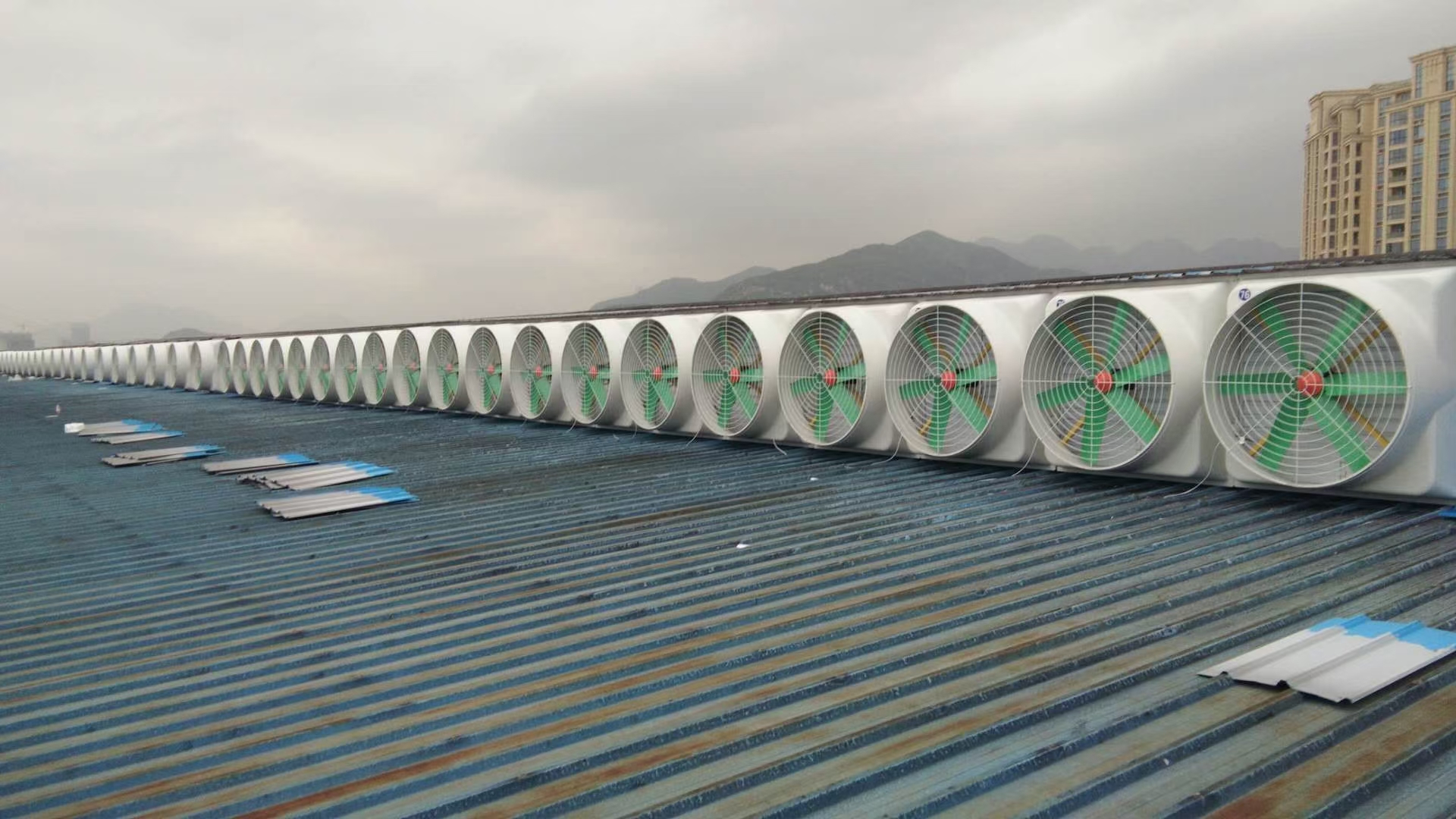 钢结构厂房屋顶气楼安装玻璃钢负压风机